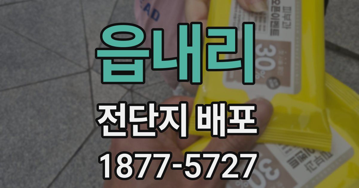 읍내리 전단지 배포