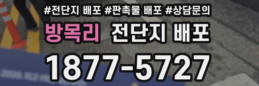방목리 전단지 배포