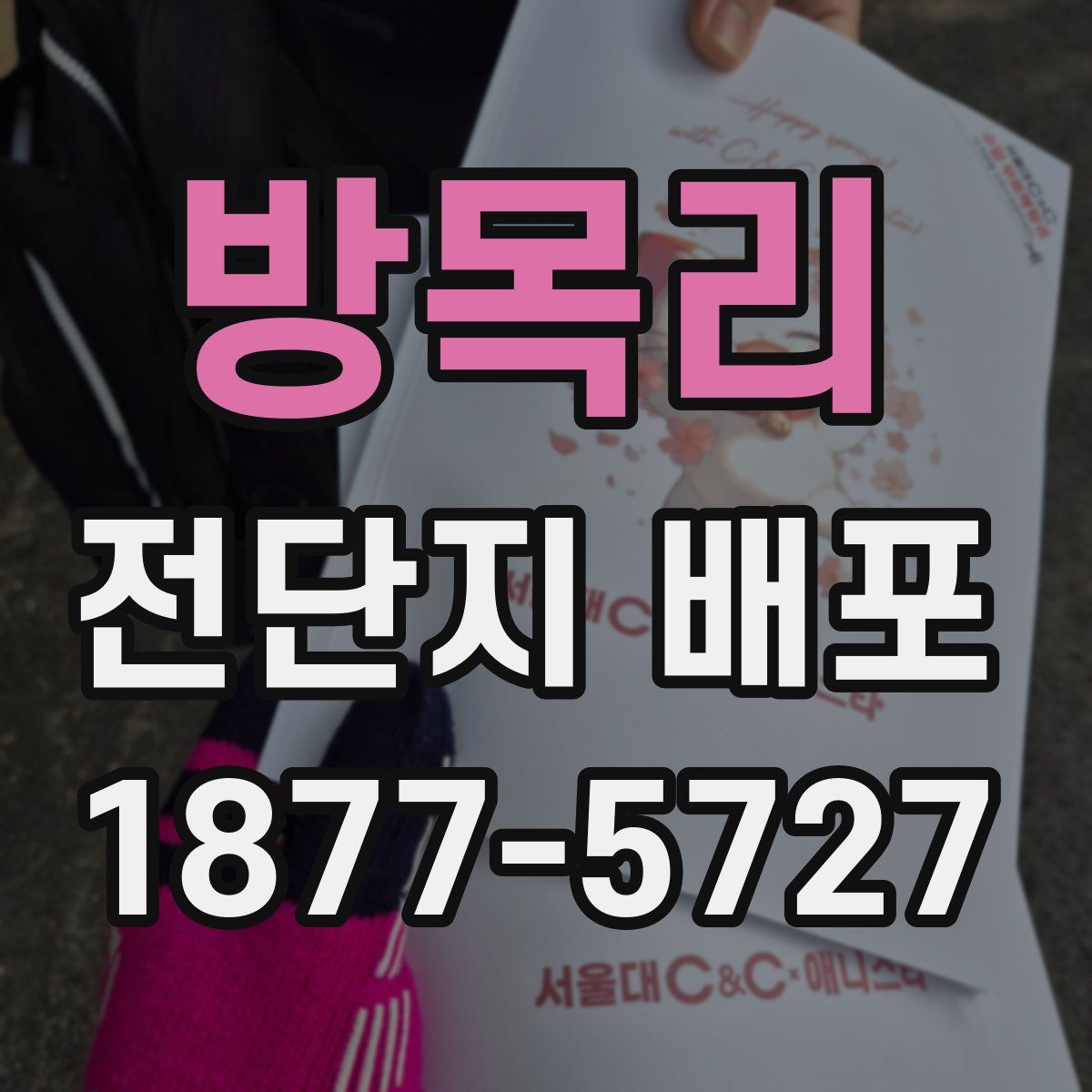 방목리 전단지 배포