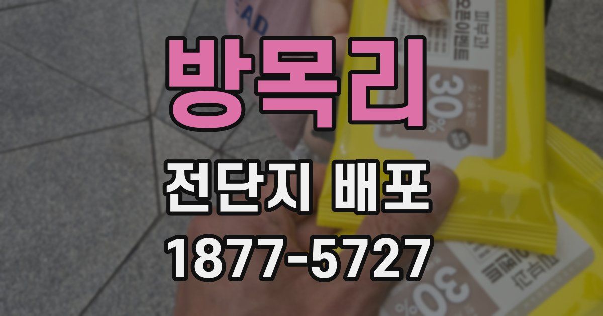 방목리 전단지 배포