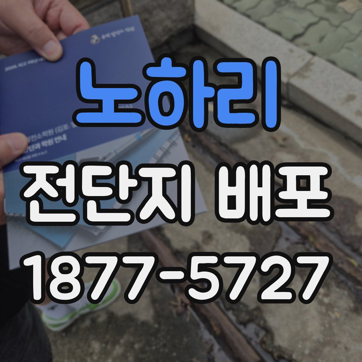 노하리 전단지 배포