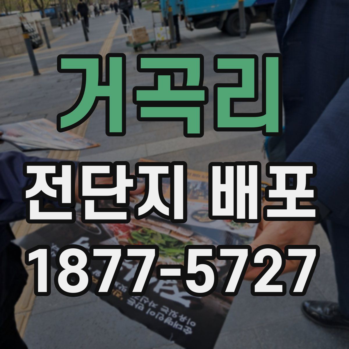 거곡리 전단지 배포