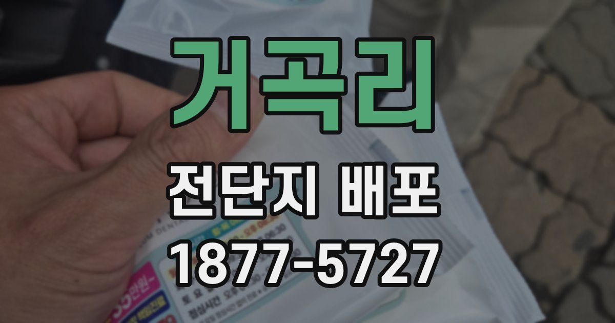 거곡리 전단지 배포