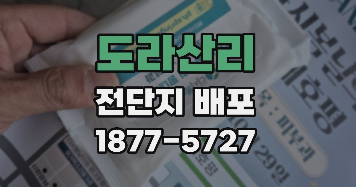 도라산리 전단지 배포