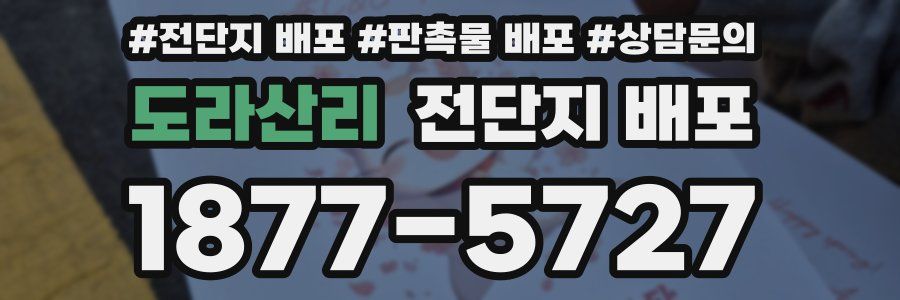 도라산리 전단지 배포