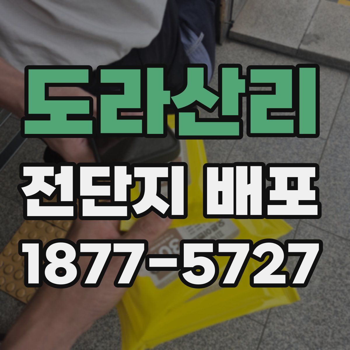도라산리 전단지 배포