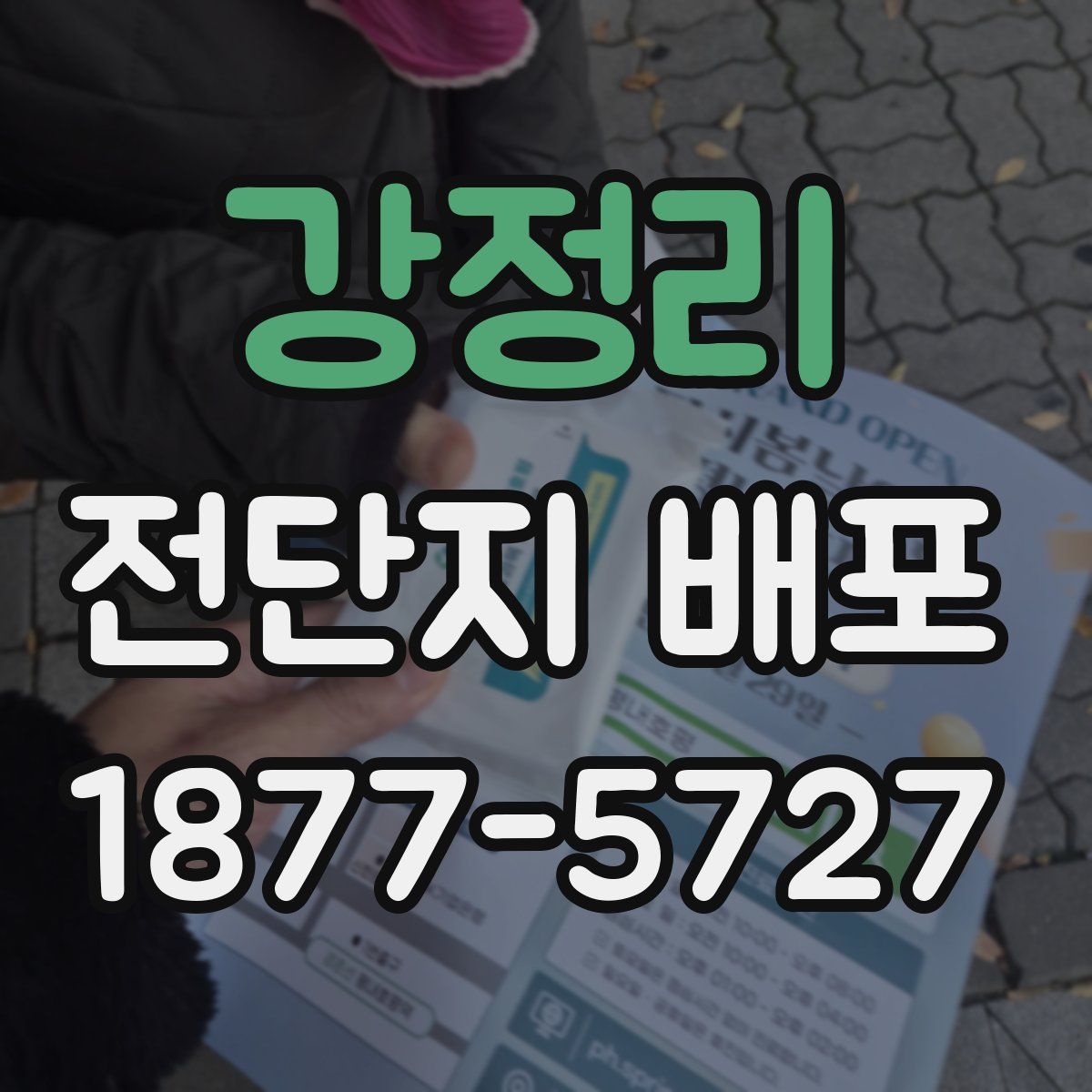 강정리 전단지 배포
