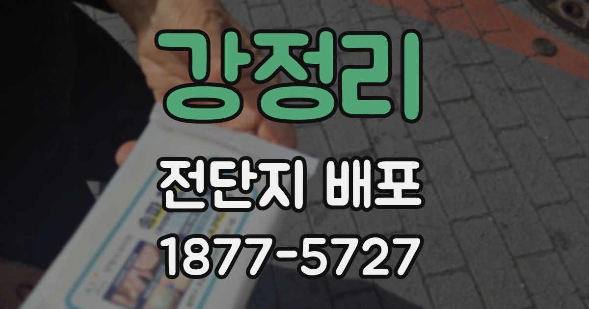 강정리 전단지 배포