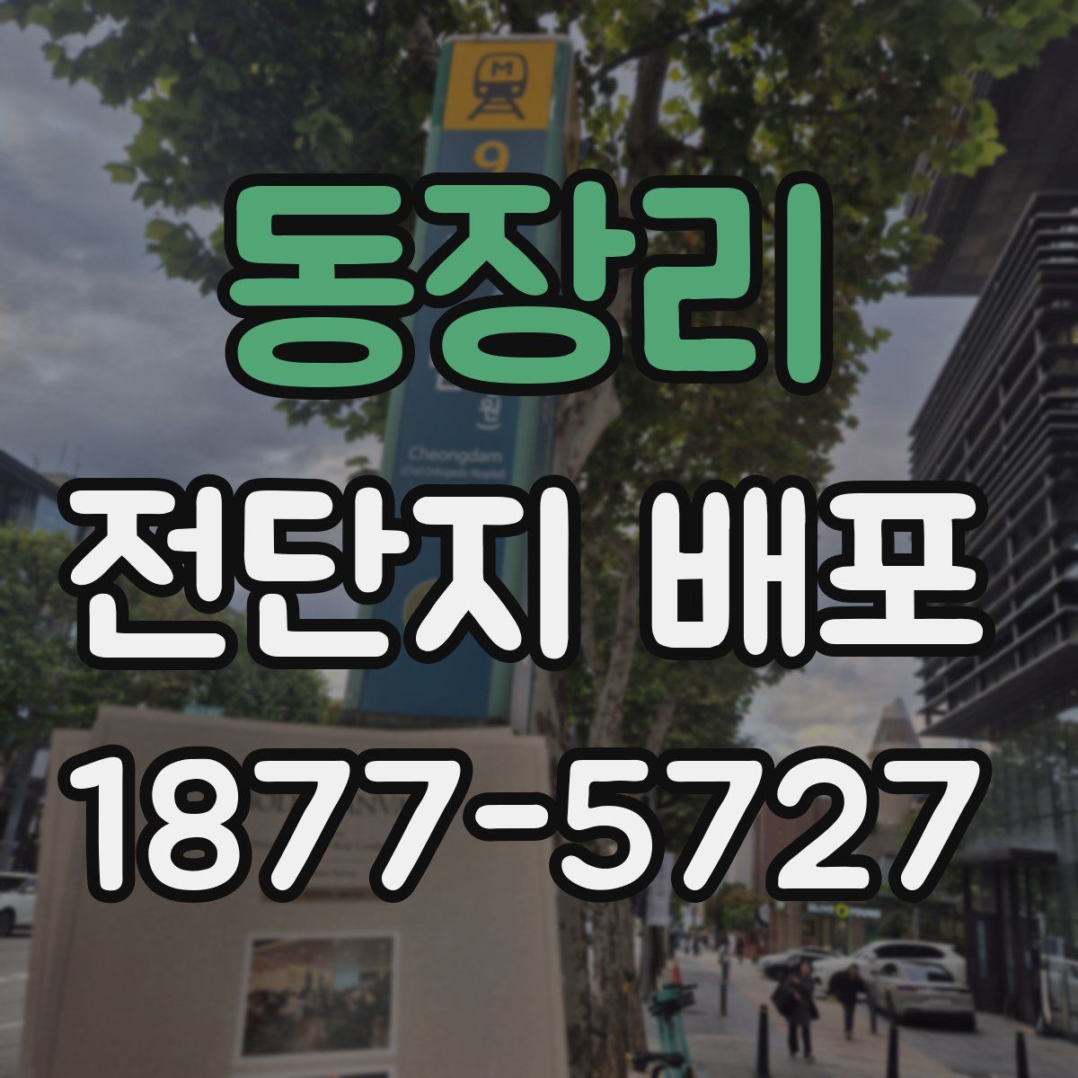 동장리 전단지 배포