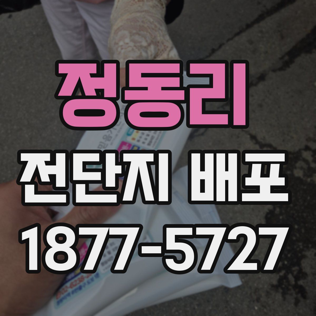 정동리 전단지 배포