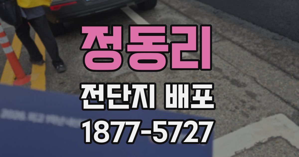 정동리 전단지 배포