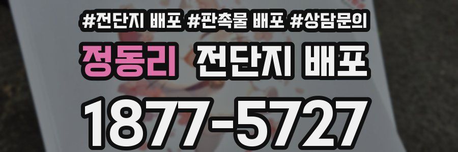 정동리 전단지 배포
