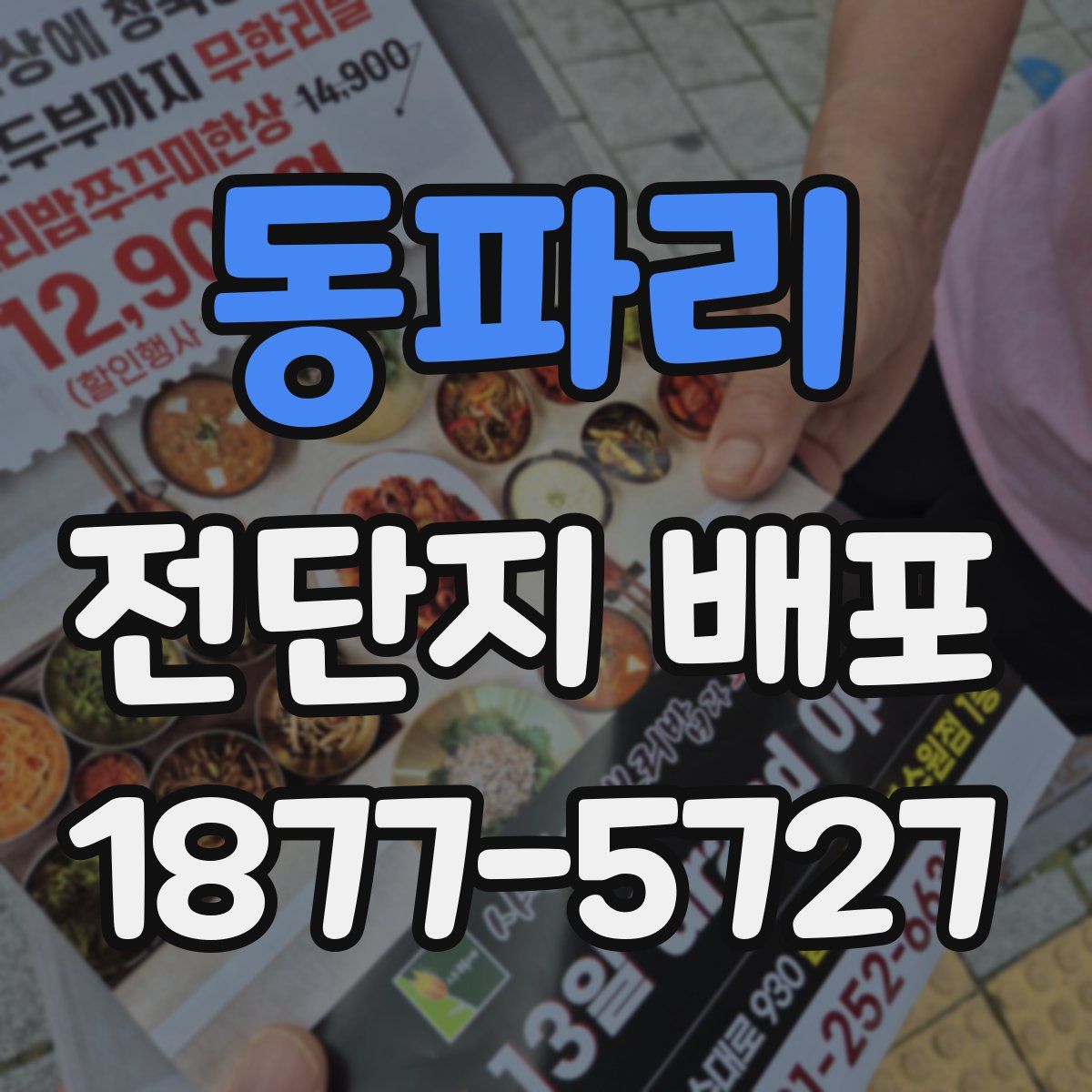 동파리 전단지 배포