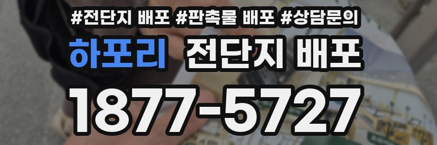 하포리 전단지 배포