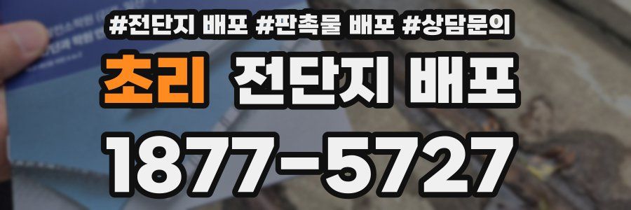 초리 전단지 배포