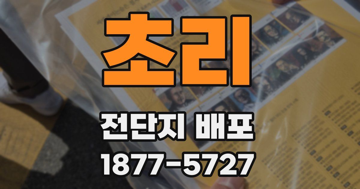 초리 전단지 배포