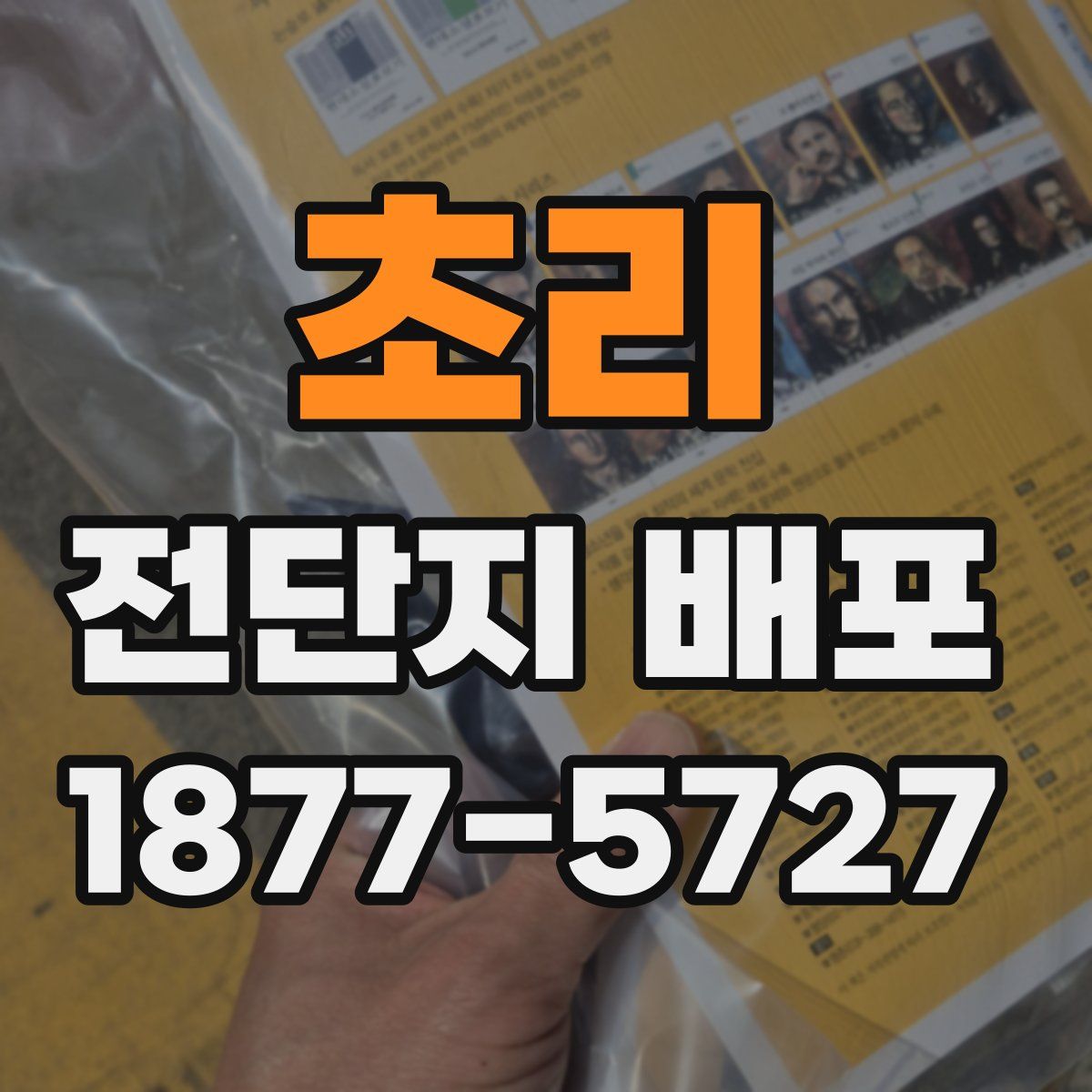 초리 전단지 배포