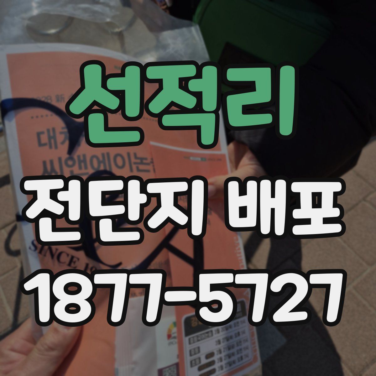 선적리 전단지 배포