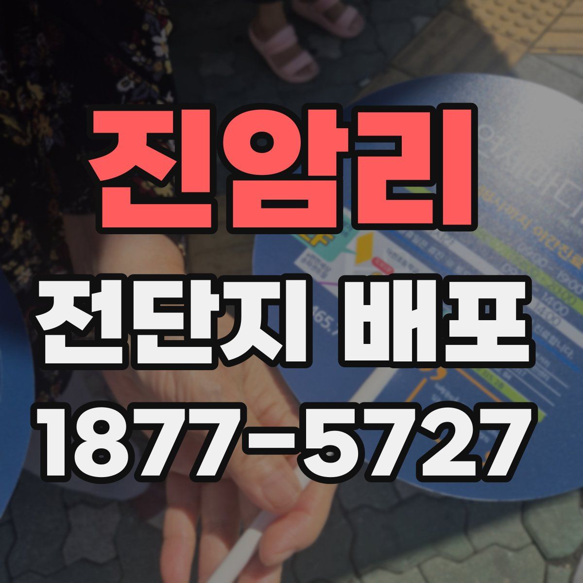 진암리 전단지 배포