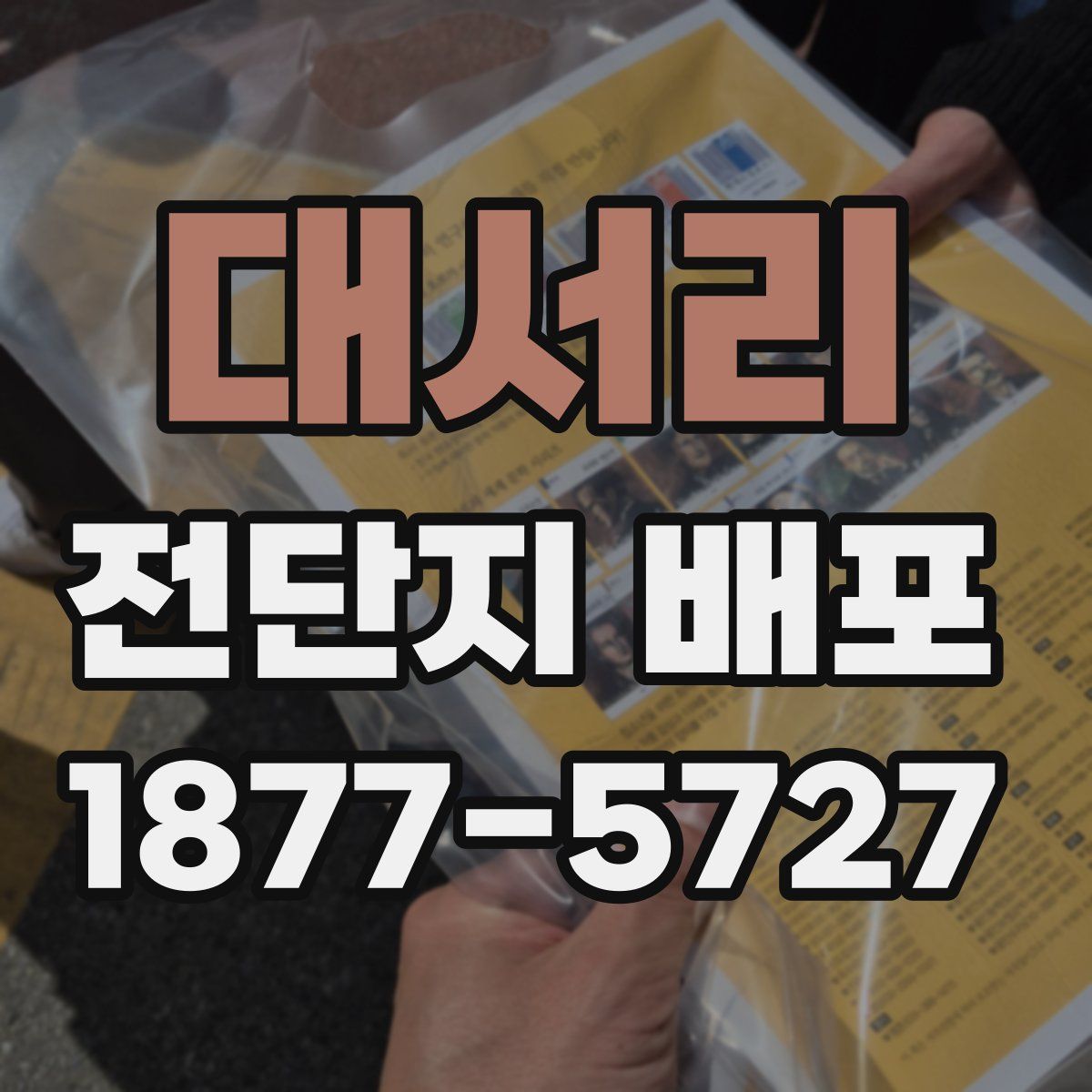 대서리 전단지 배포