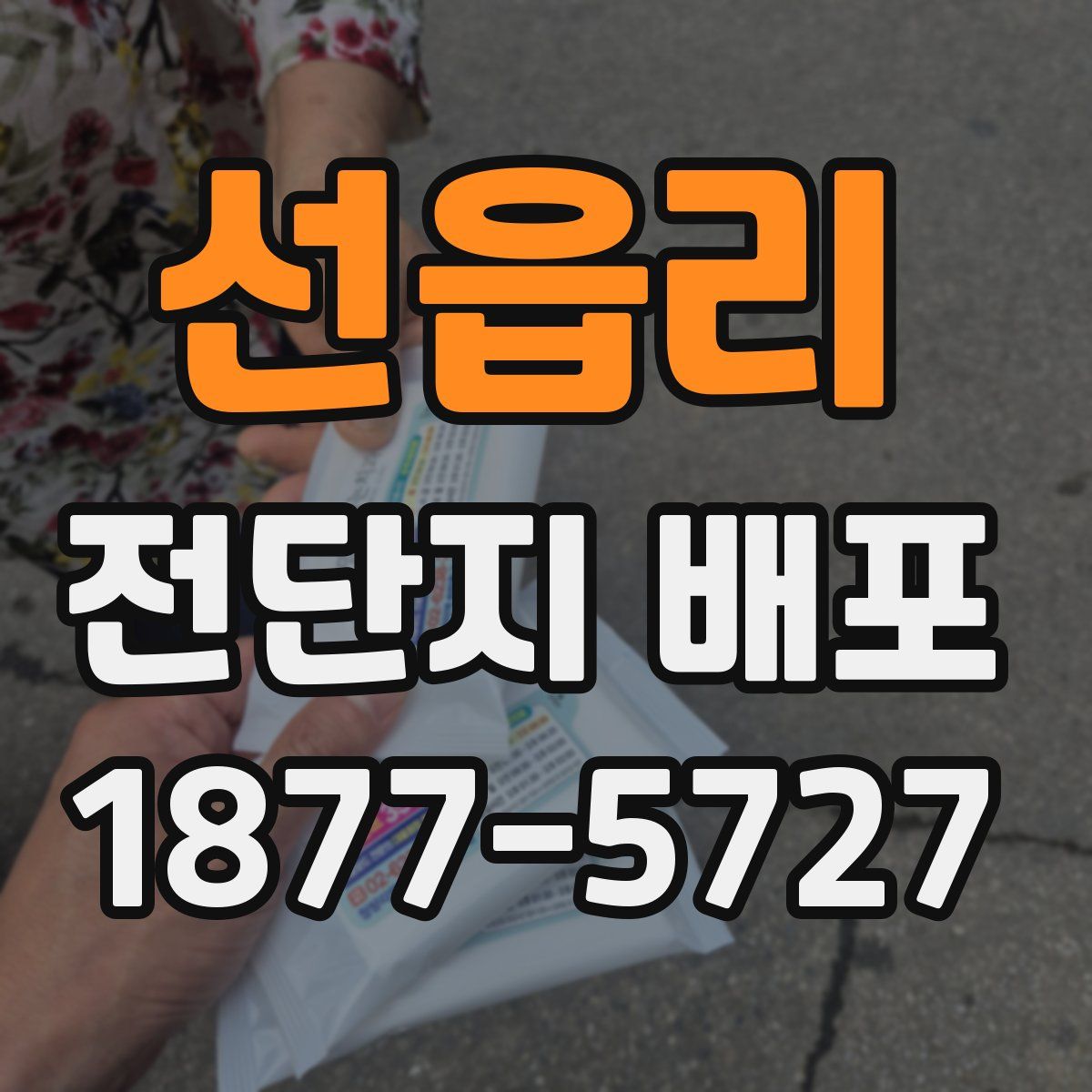 선읍리 전단지 배포