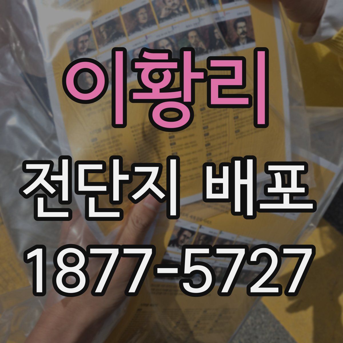 이황리 전단지 배포