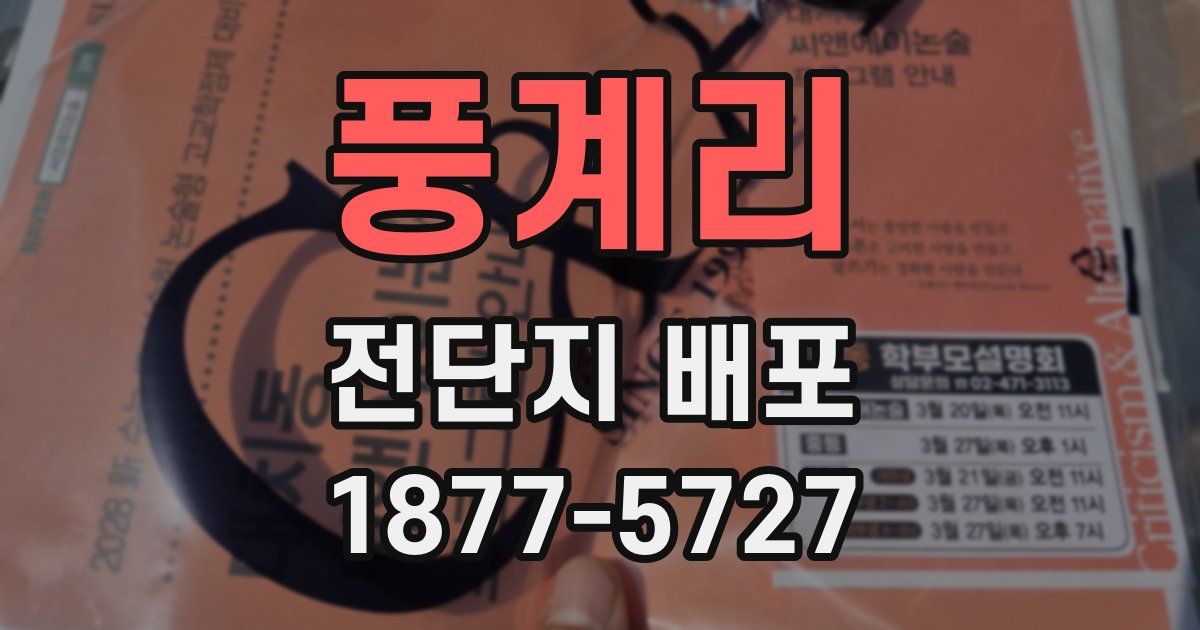 풍계리 전단지 배포
