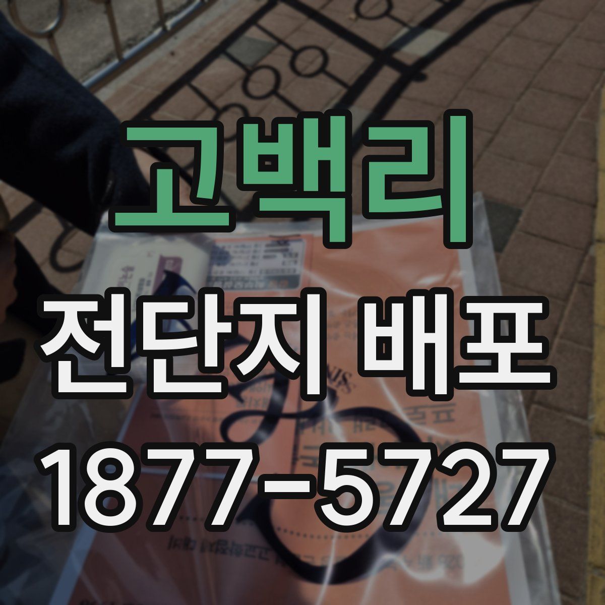 고백리 전단지 배포