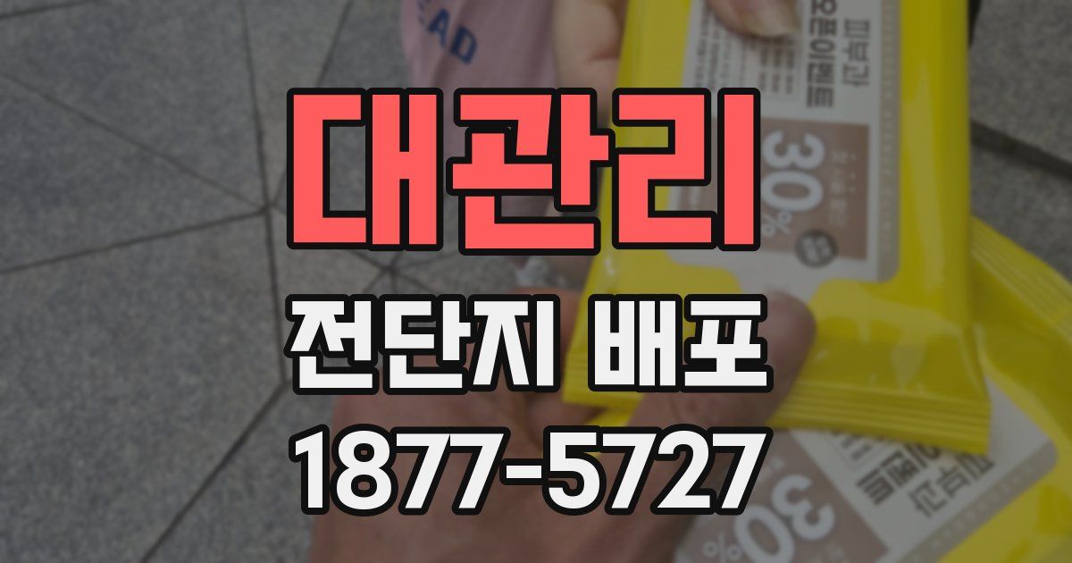 대관리 전단지 배포