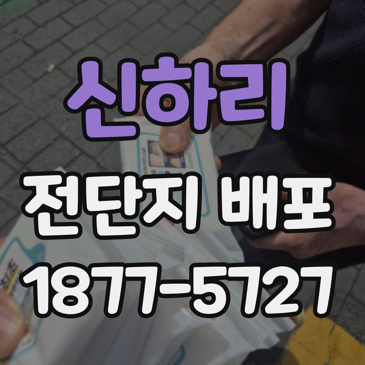 신하리 전단지 배포