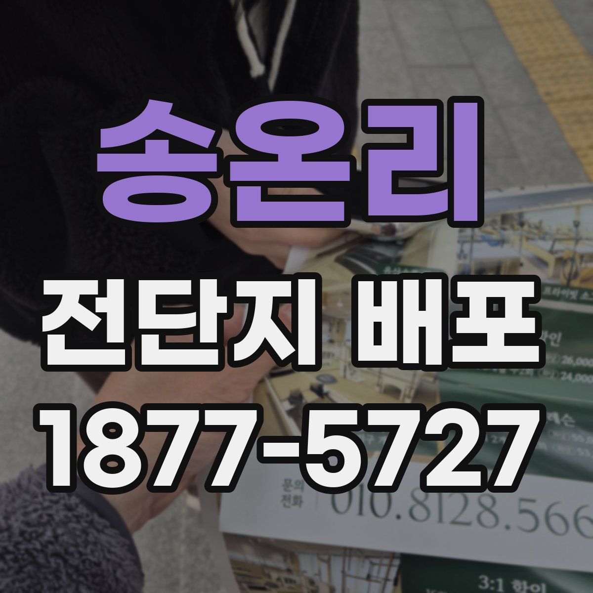 송온리 전단지 배포