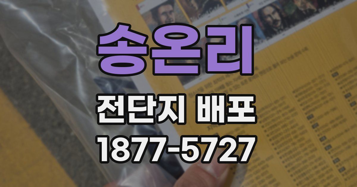 송온리 전단지 배포