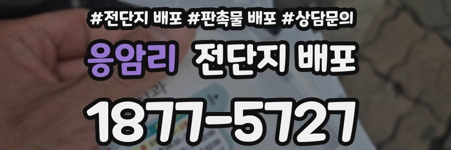 응암리 전단지 배포