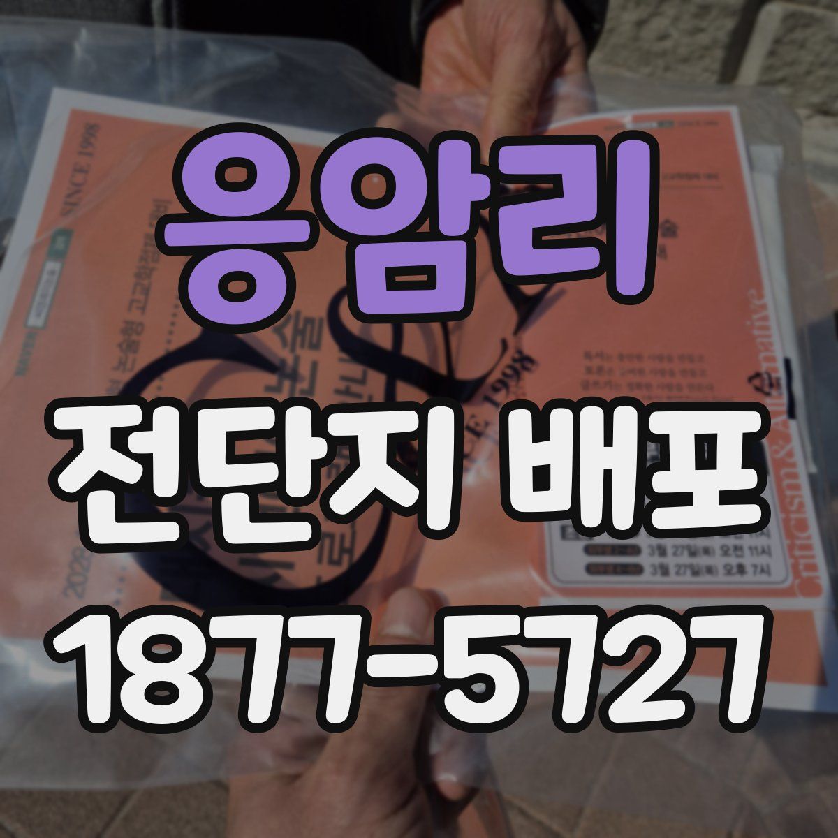 응암리 전단지 배포