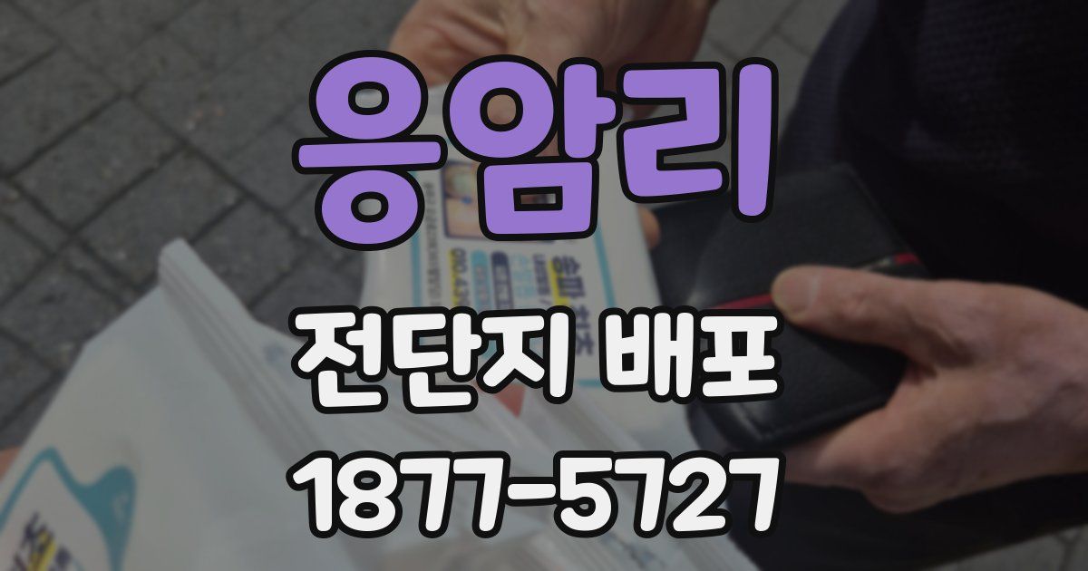 응암리 전단지 배포
