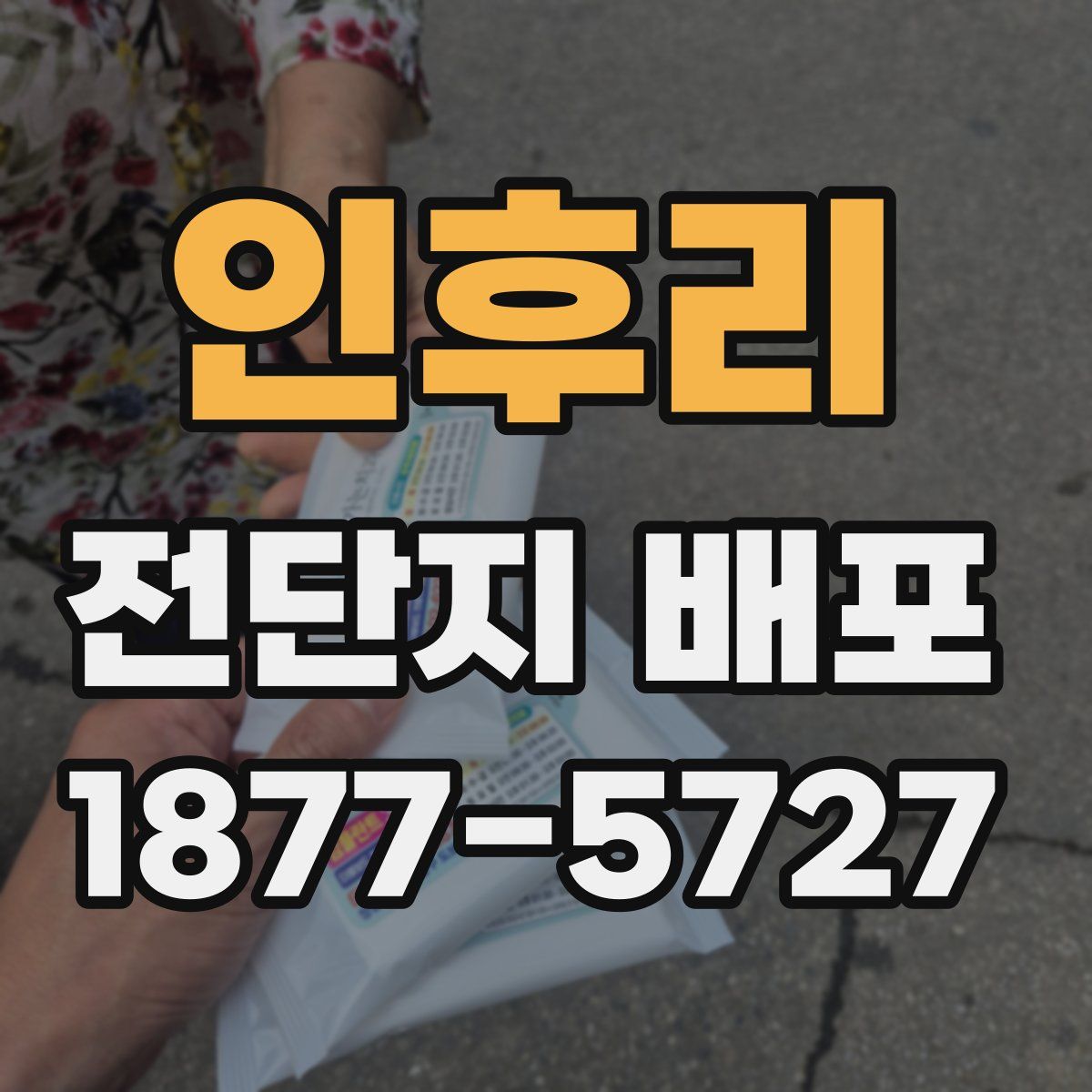 인후리 전단지 배포