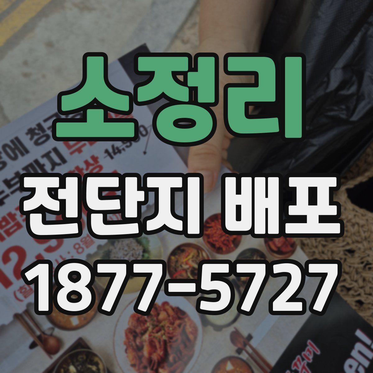 소정리 전단지 배포