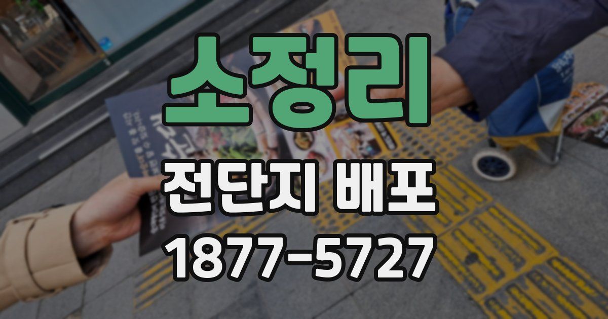 소정리 전단지 배포
