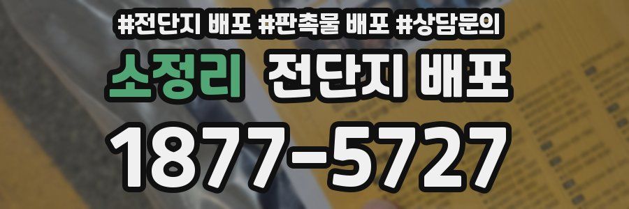 소정리 전단지 배포