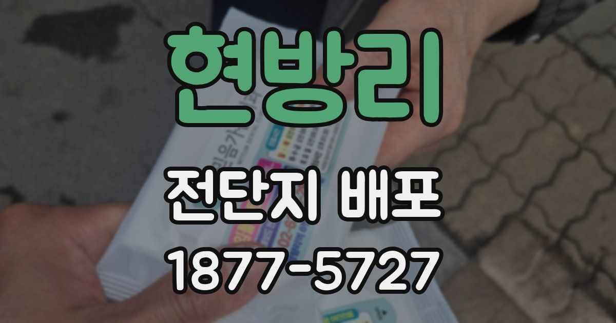 현방리 전단지 배포