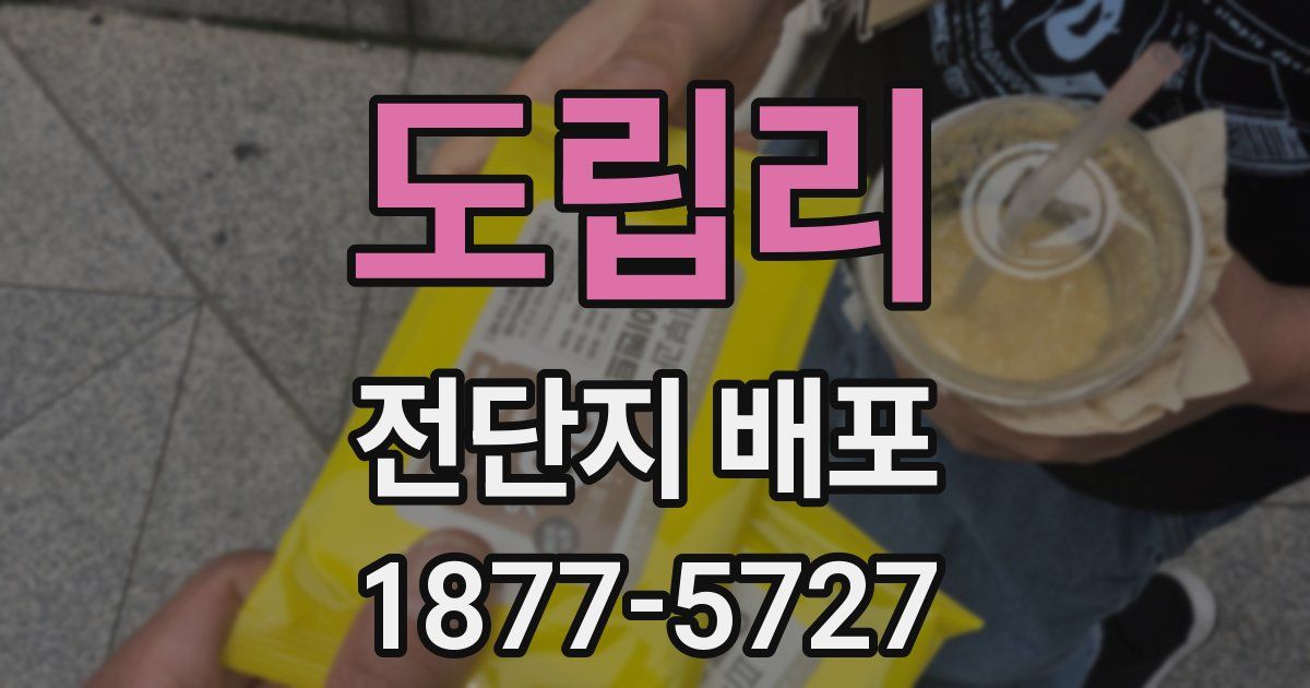 도립리 전단지 배포