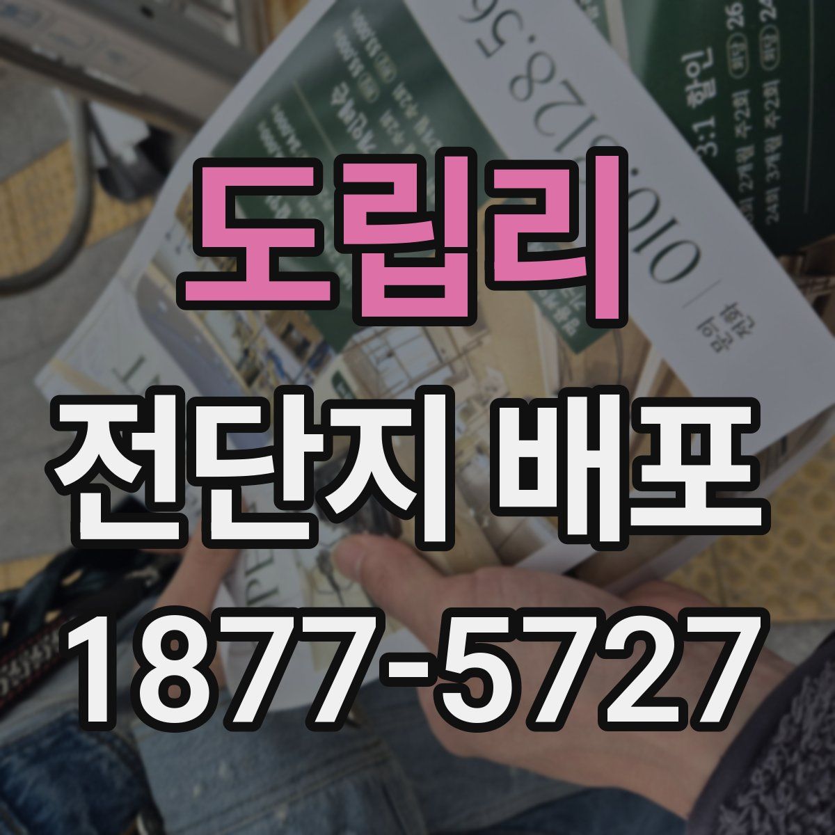 도립리 전단지 배포