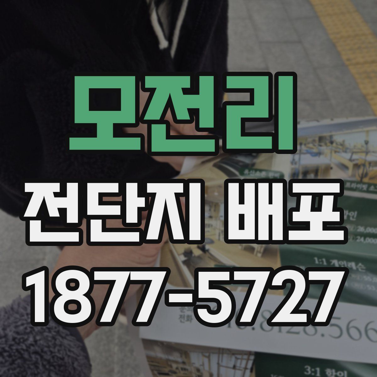 모전리 전단지 배포