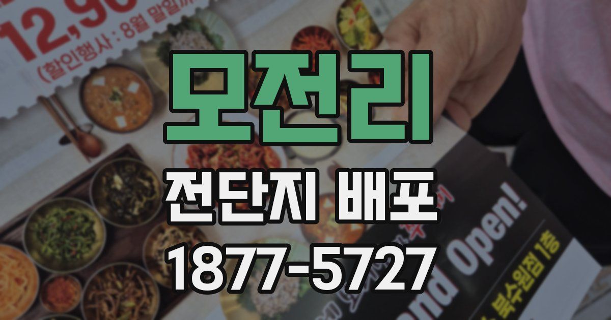 모전리 전단지 배포