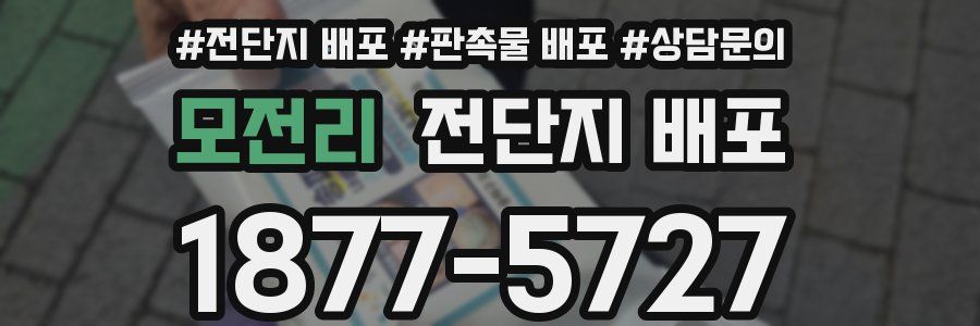 모전리 전단지 배포
