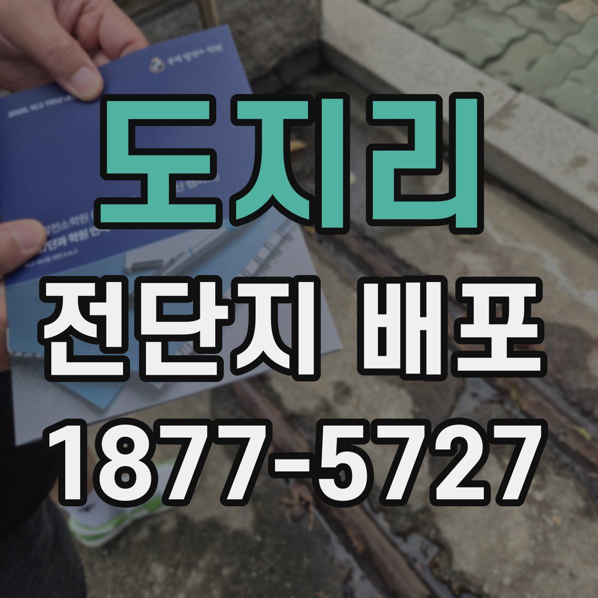 도지리 전단지 배포