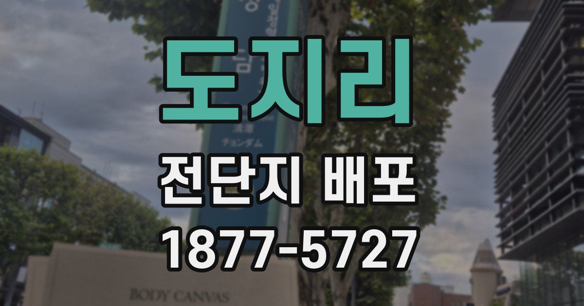 도지리 전단지 배포