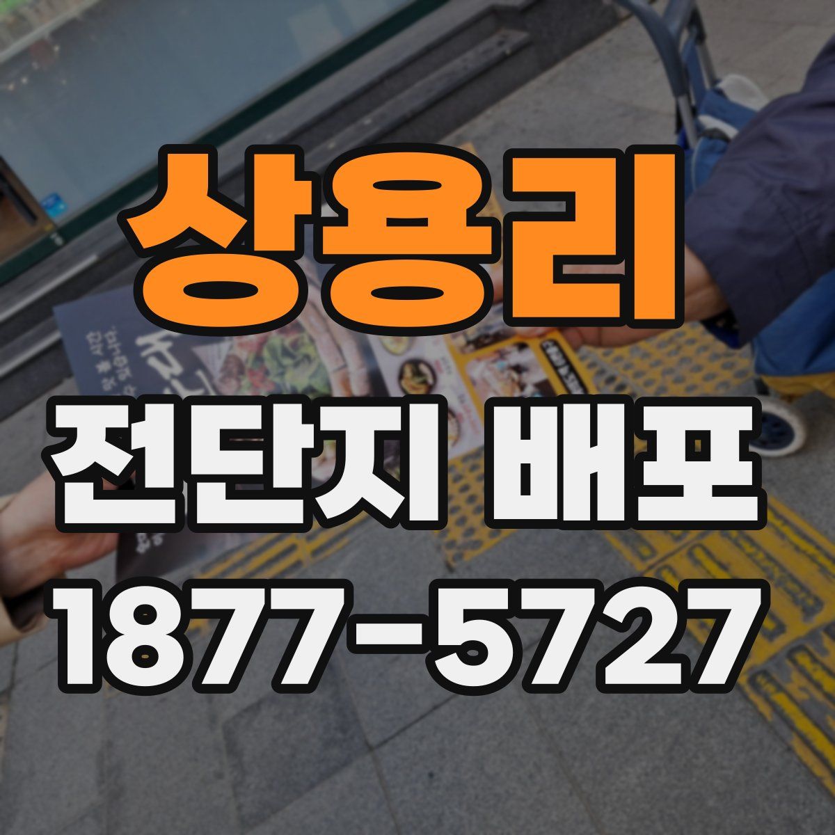 상용리 전단지 배포