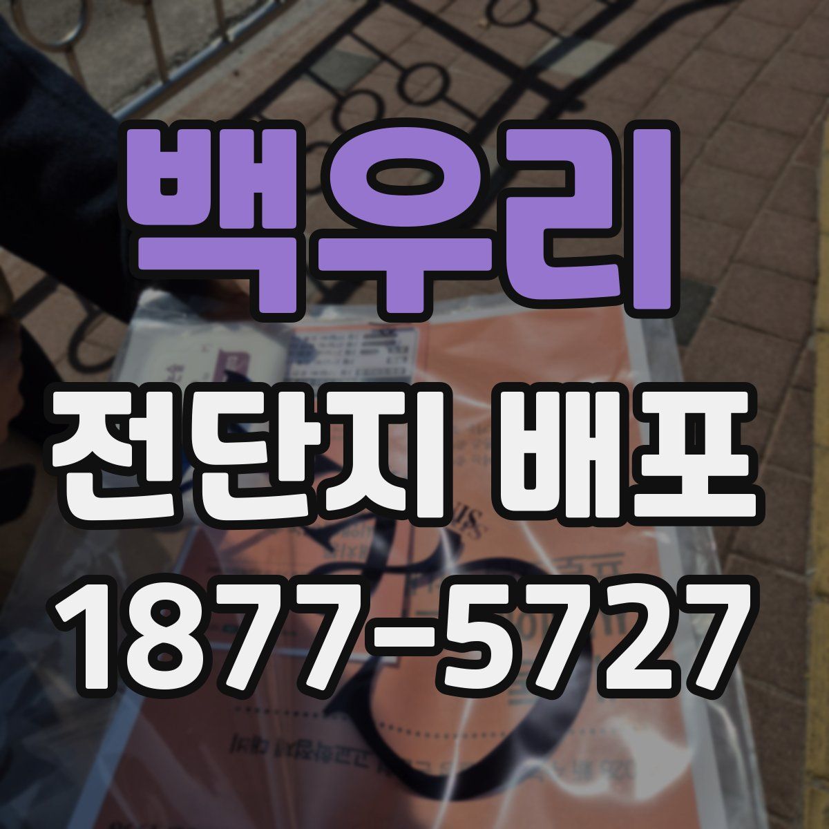 백우리 전단지 배포