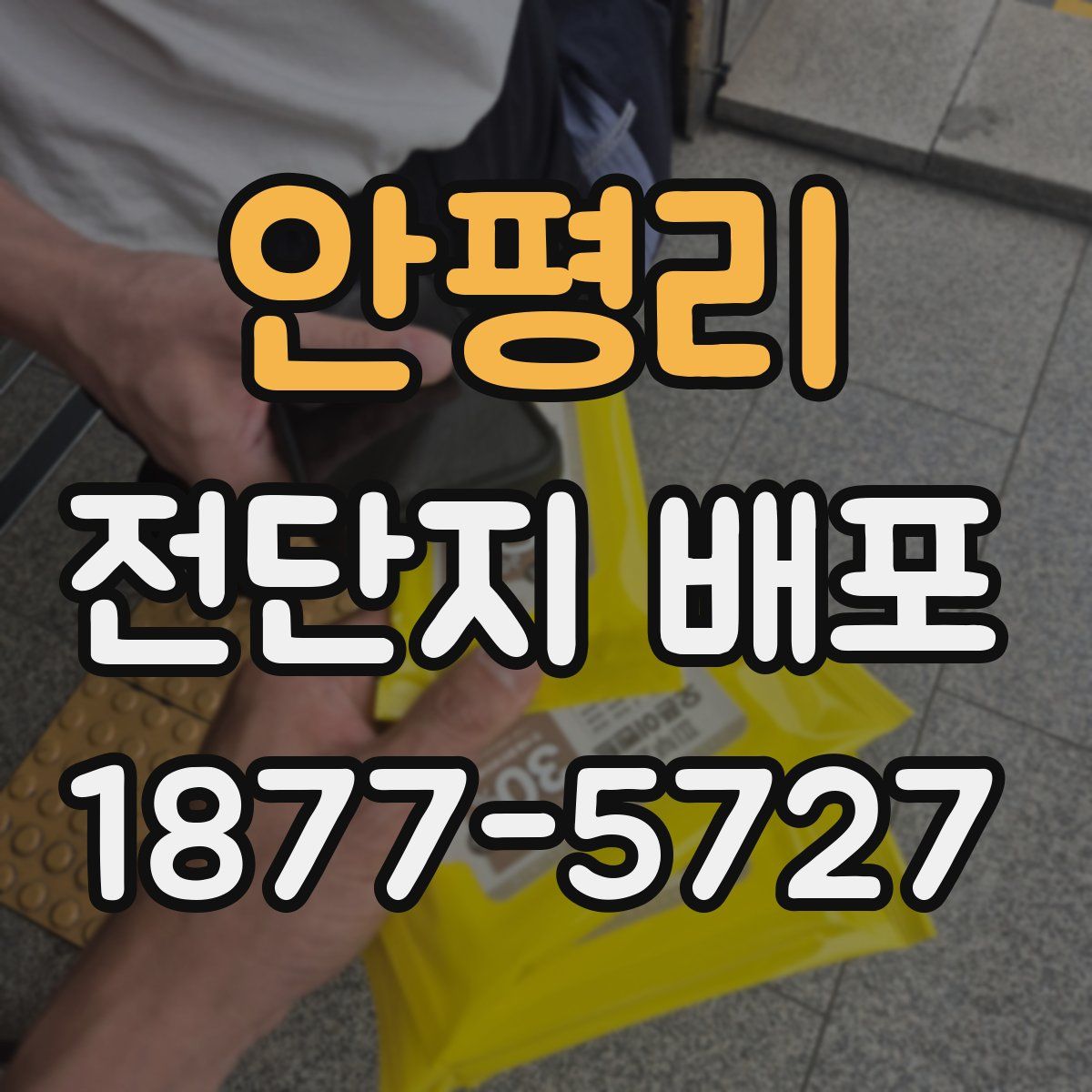 안평리 전단지 배포